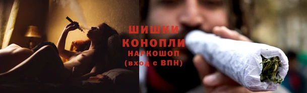 кокс Михайлов