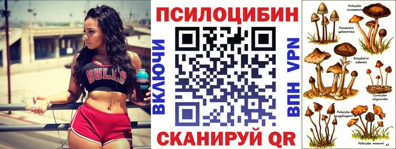 Псилоцибиновые грибы Cubensis  мега онион  Грозный 